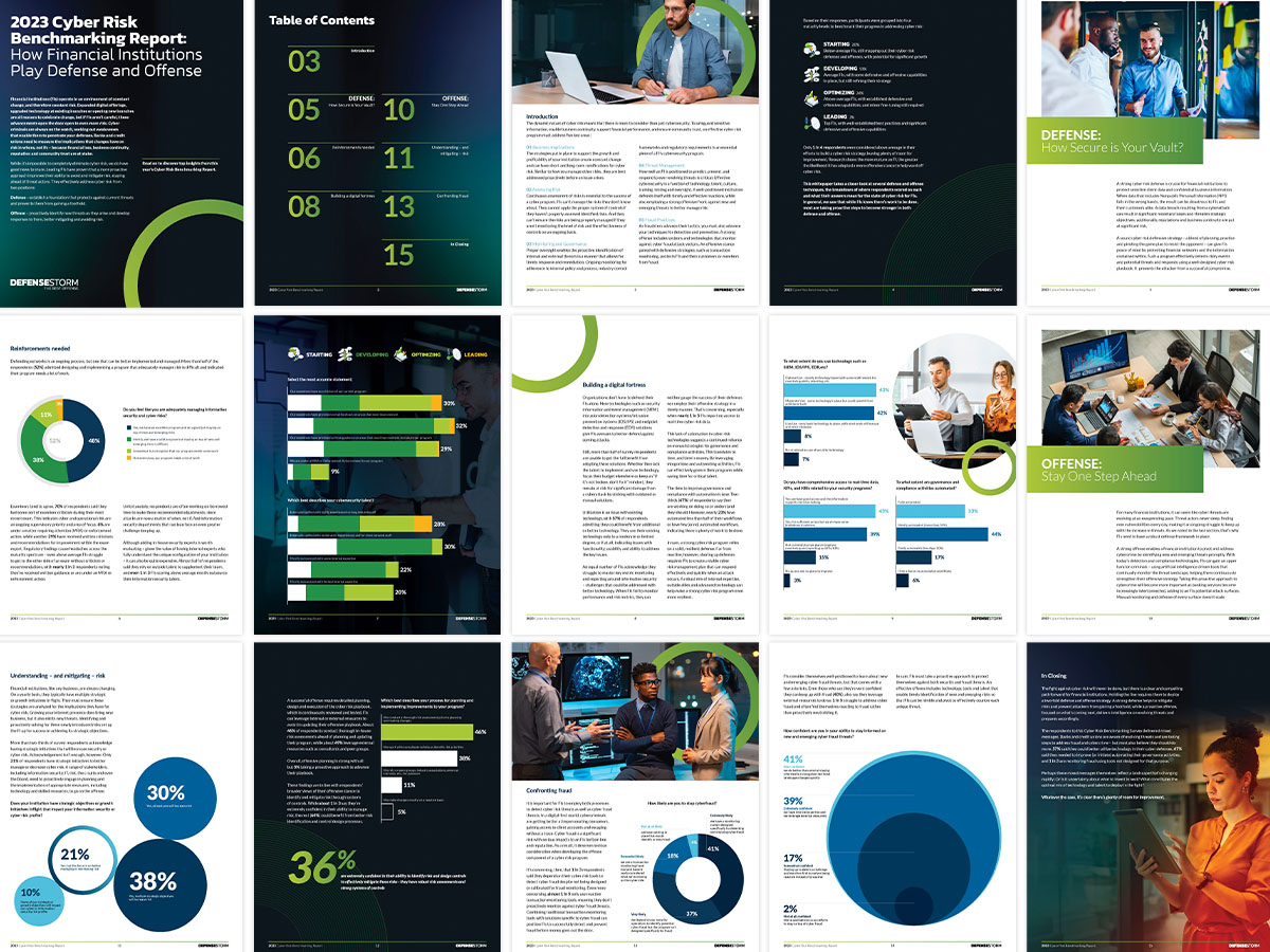 White paper 1up spreads created to supplement the CRRIQ assessment created for DefenseStorm